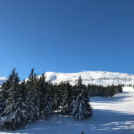 Freerider 2* Dragobrat