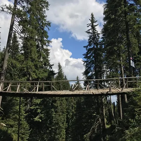 Freerider 2* Dragobrat