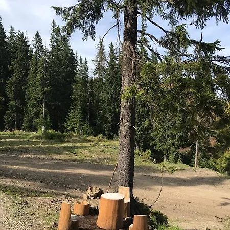 Hotel Freerider Dragobrat